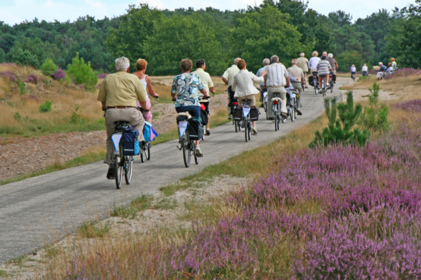 groepje mensen op de fiets