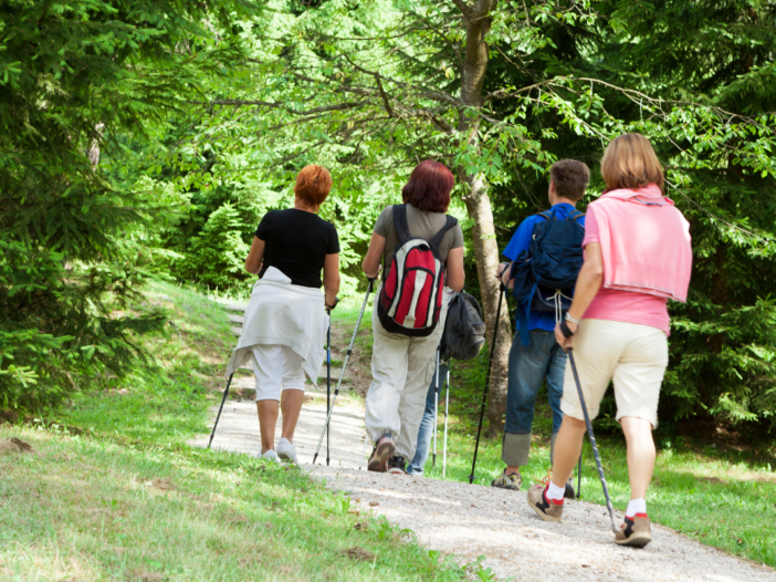 groepje mensen doet aan nordic walking