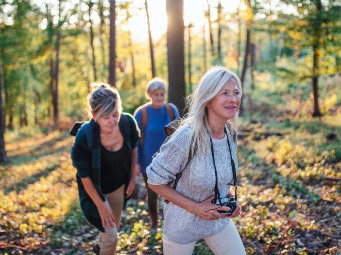 vrouwen zijn aan het wandelen in bos