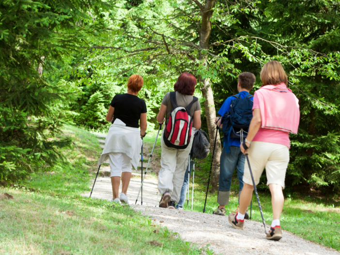 vrouwen doen aan nordic walking