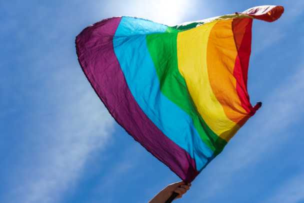 pride vlag met regenboog kleuren