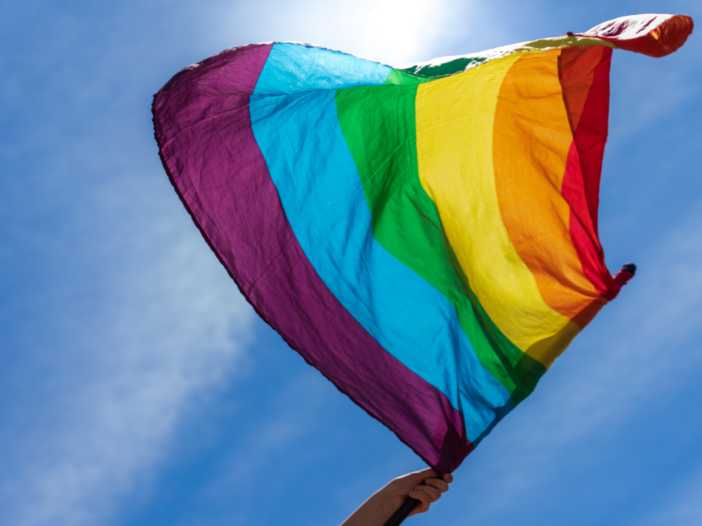 pride vlag met regenboog kleuren