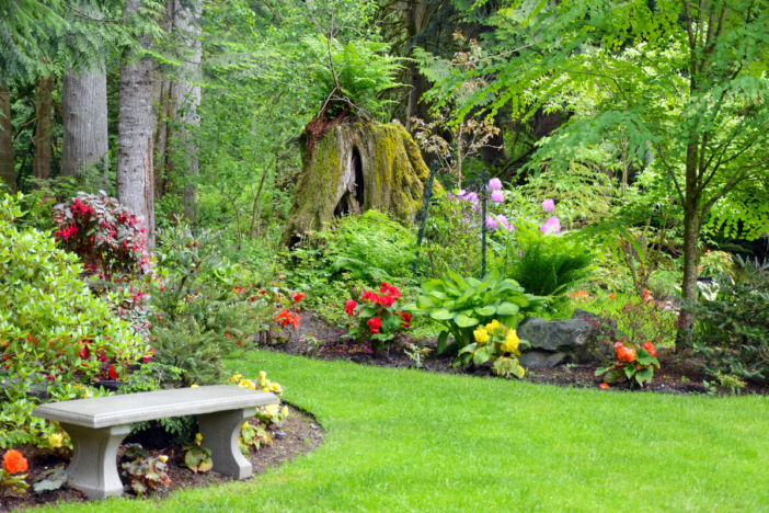 afbeelding van een tuin in bloei