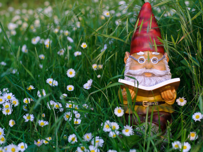 een tuinkabouter in een grasveld met margrietjes