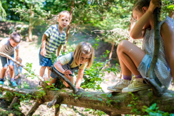 Vier kinderen spelen op een boom in het bos. Het zijn jonge kinderen.