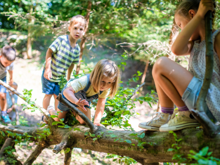 Vier kinderen spelen op een boom in het bos. Het zijn jonge kinderen.