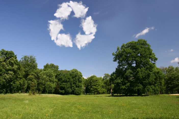 Een groen bos met in de blauwe lucht een natuur element. Dit natuur element is gemaakt van wolken en staat voor duurzaamheid en energie.