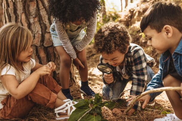 Vier kinderen zijn bij een boom in het bos aan het spelen en ontdekken.