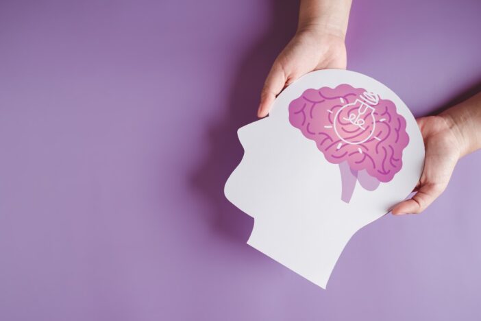 Twee handen houden model van hersenen vast.