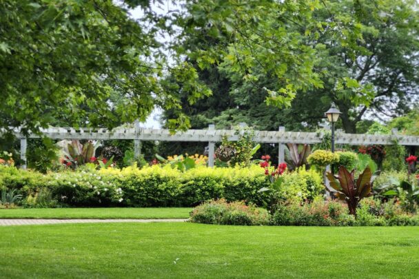 Aangelegd gras met wat planten en bomen.